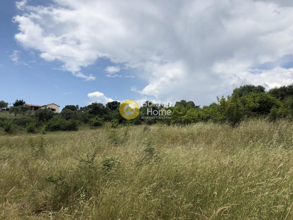 Οικόπεδο 8.000 τ.μ. προς πώληση, Νέα Ρόδα