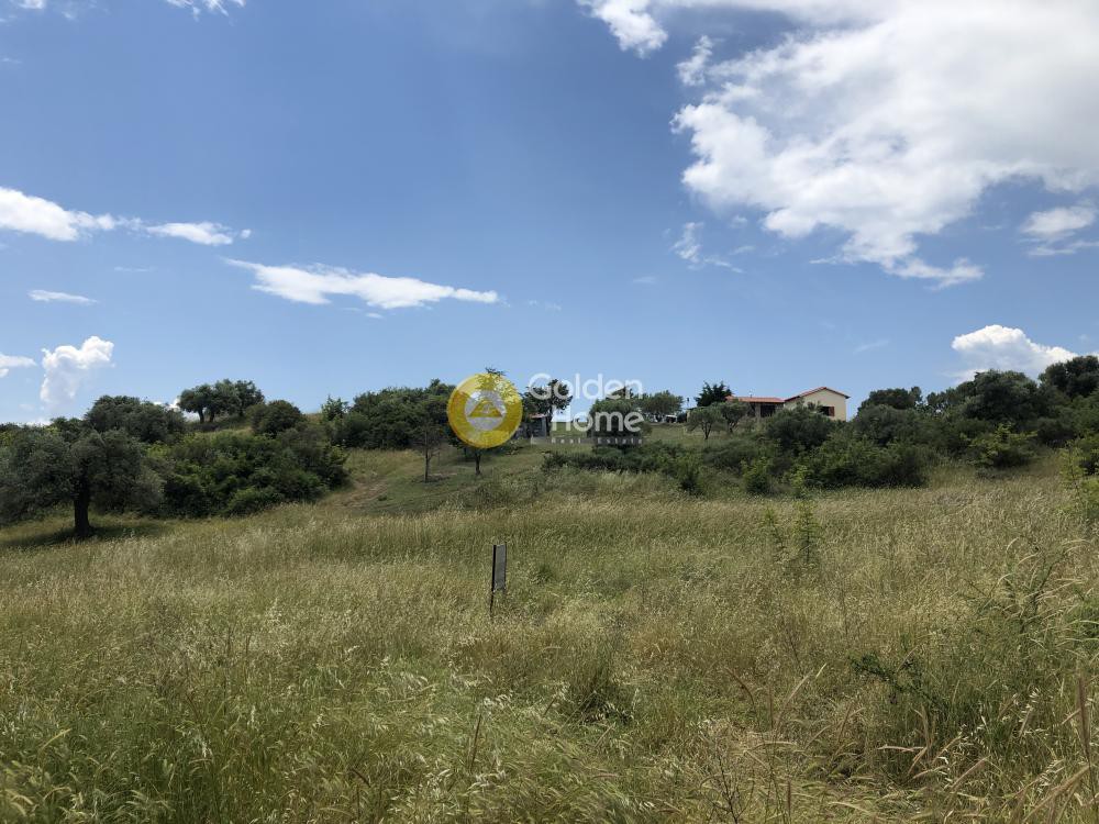 Οικόπεδο 8.000 τ.μ. προς πώληση, Νέα Ρόδα