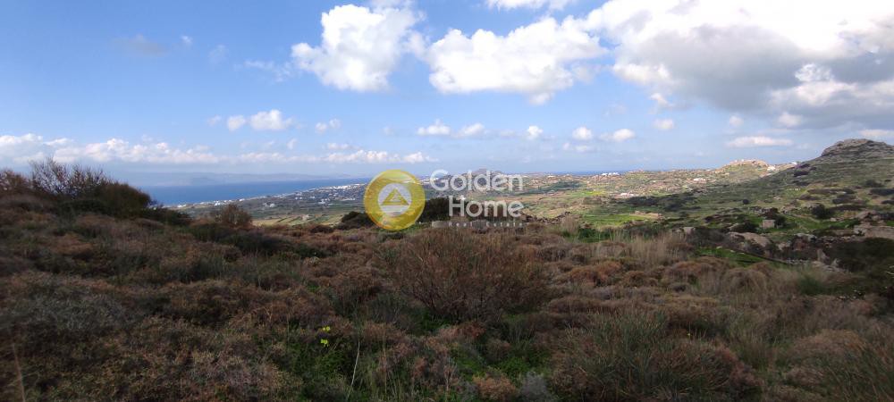 Αγροτεμάχια 5.826 τ.μ. προς πώληση, Πλάκα Νάξου
