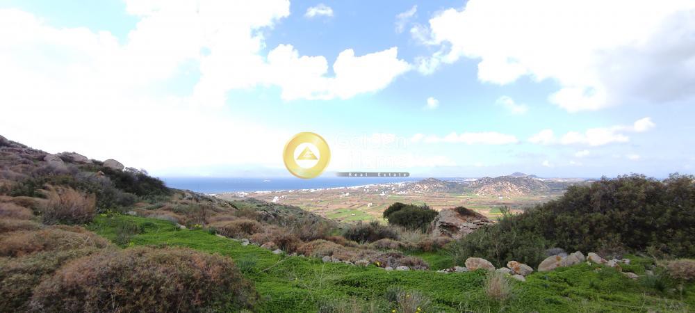 Αγροτεμάχια 5.826 τ.μ. προς πώληση, Πλάκα Νάξου