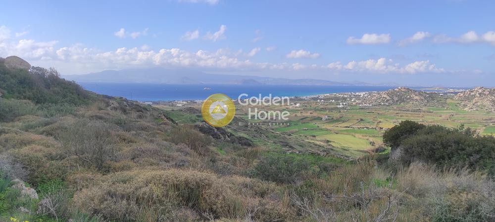 Αγροτεμάχια 5.826 τ.μ. προς πώληση, Πλάκα Νάξου