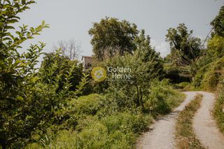 Οικόπεδο 21.390 τ.μ. για πώληση, Μαγνησία, Ζαγορά-thumb-3
