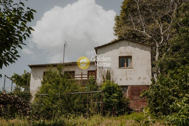 Οικόπεδο 21.390 τ.μ. για πώληση, Μαγνησία, Ζαγορά