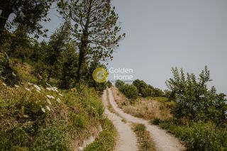 Οικόπεδο 21.390 τ.μ. για πώληση, Μαγνησία, Ζαγορά-thumb-5