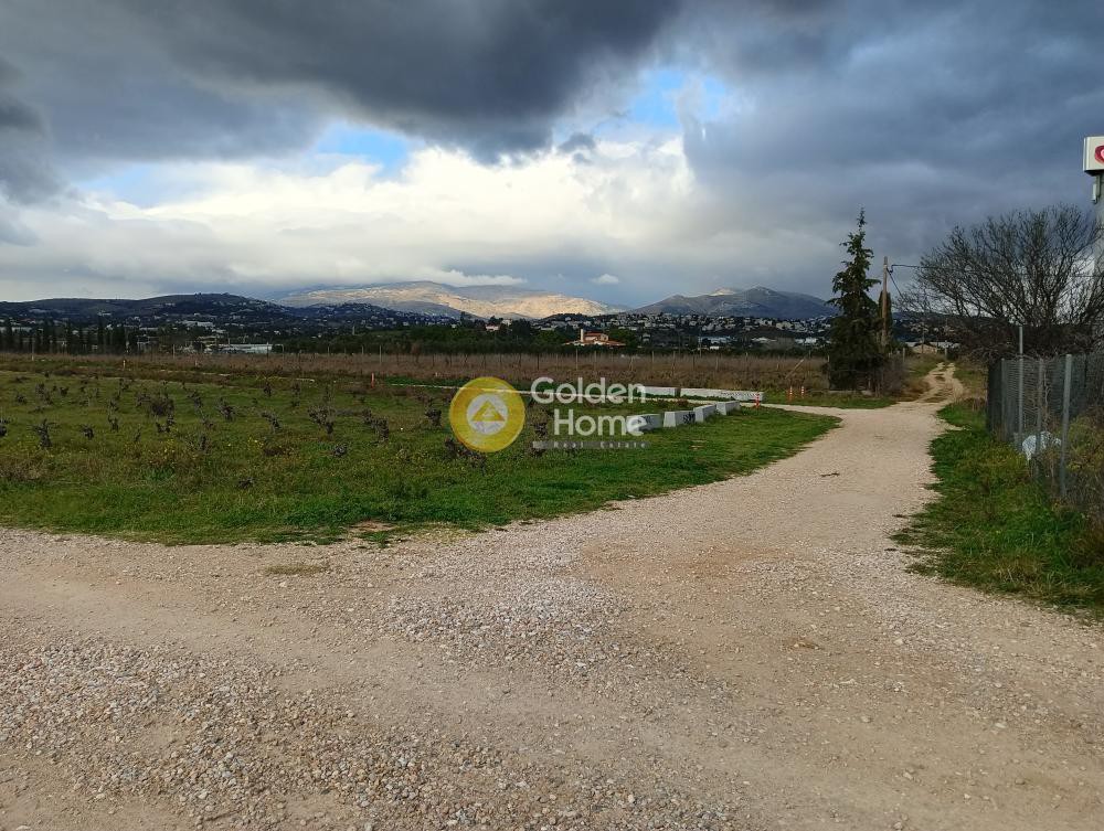 Αγροτεμάχια 1.500 τ.μ. προς πώληση, Χριστούπολη
