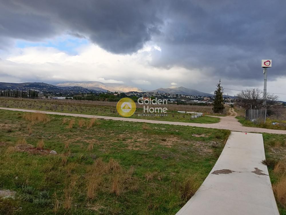 Αγροτεμάχια 1.500 τ.μ. προς πώληση, Χριστούπολη