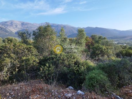 Land plot 3.500sqm for sale-Vrachasi » Sisi