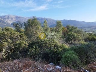Οικόπεδο 3.500 τ.μ. για πώληση