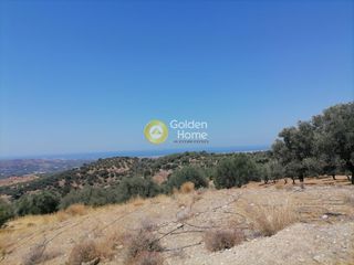 Οικόπεδο 5.000 τ.μ. για πώληση, Ν. Ηρακλείου, Τυμπάκι-thumb-11