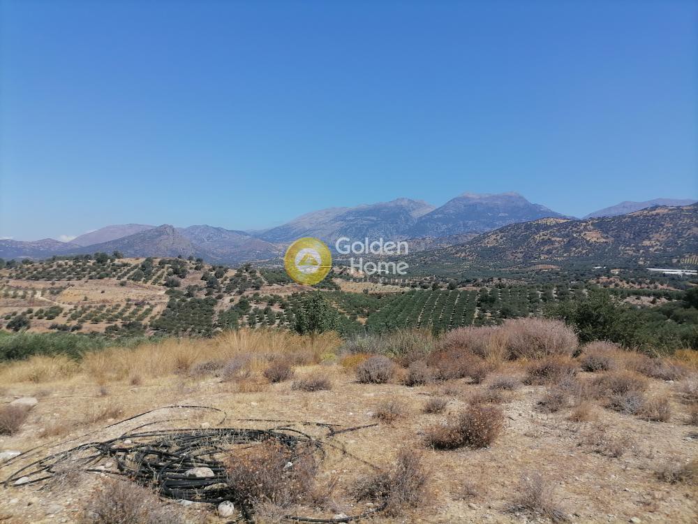 Οικόπεδο 5.000 τ.μ. προς πώληση, Ν. Ηρακλείου, Τυμπάκι