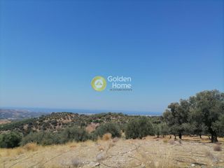 Οικόπεδο 5.000 τ.μ. για πώληση, Ν. Ηρακλείου, Τυμπάκι-thumb-6