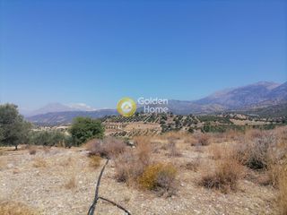 Οικόπεδο 5.000 τ.μ. για πώληση, Ν. Ηρακλείου, Τυμπάκι-thumb-9