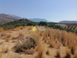 Οικόπεδο 5.000 τ.μ. για πώληση, Ν. Ηρακλείου, Τυμπάκι-thumb-16