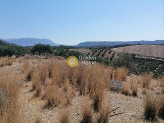 Οικόπεδο 5.000 τ.μ. για πώληση, Ν. Ηρακλείου, Τυμπάκι-thumb-4