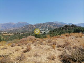 Οικόπεδο 5.000 τ.μ. για πώληση, Ν. Ηρακλείου, Τυμπάκι-thumb-15