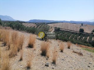 Οικόπεδο 5.000 τ.μ. για πώληση, Ν. Ηρακλείου, Τυμπάκι-thumb-12
