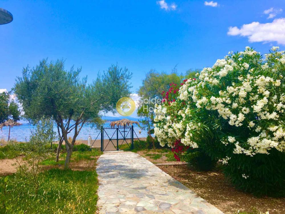 Κτίριο 95 τ.μ. προς πώληση, Παραλία Ιρίων