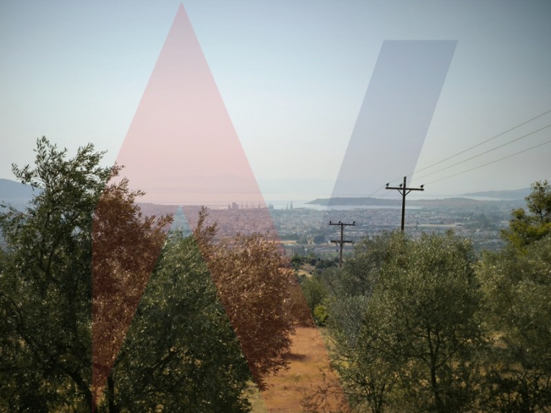 Αγροτεμάχια 13.193 τ.μ. πρός πώληση, Μαγνησία, Νέα Ιωνία Βόλου
