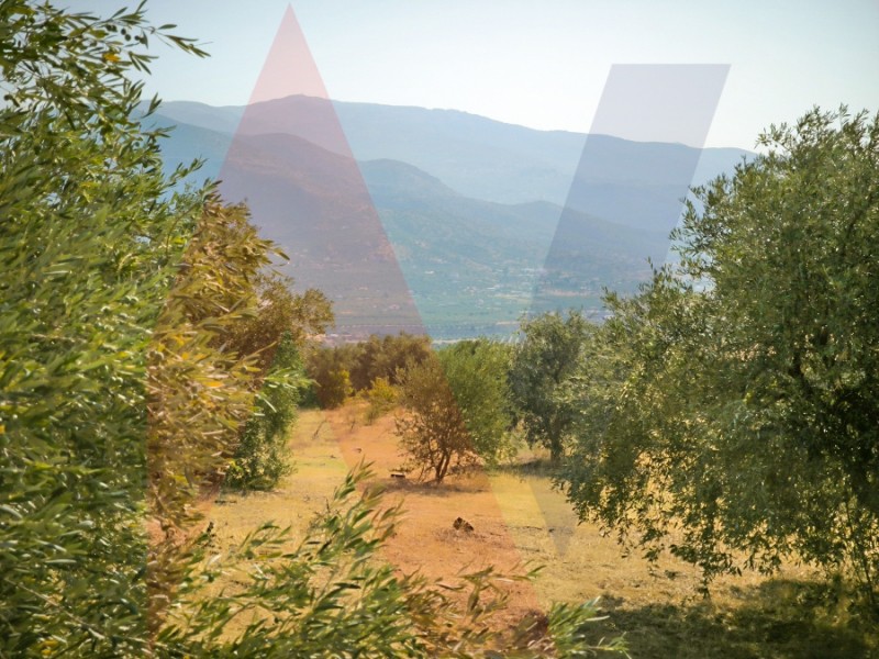 Αγροτεμάχια 13.193 τ.μ. πρός πώληση, Μαγνησία, Νέα Ιωνία Βόλου