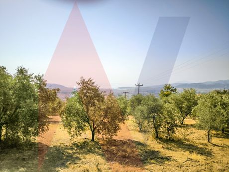 Parcel 13.193sqm for sale-Nea Ionia Volou » Melissatika
