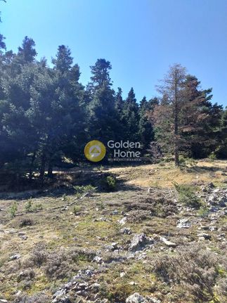 Οικόπεδο 6.982 τ.μ. για πώληση, Φωκίδα, Παρνασσός