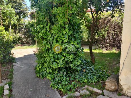 Οικόπεδο 850τ.μ. για πώληση-Σπάτα » Ήμερος πεύκος