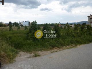 Οικόπεδο 970 τ.μ. για πώληση, Εύβοια, Ληλάντιο-thumb-1