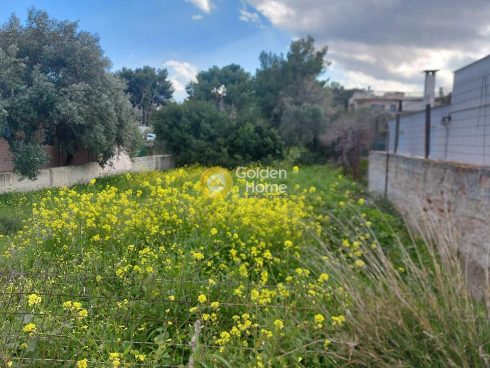 Οικόπεδο 300 τ.μ. προς πώληση, Αθήνα - Ανατολικά Προάστια, Αρτέμιδα (λούτσα)