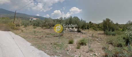 Οικόπεδο 4.920τ.μ. για πώληση-Πορταριά » Γορίτσα
