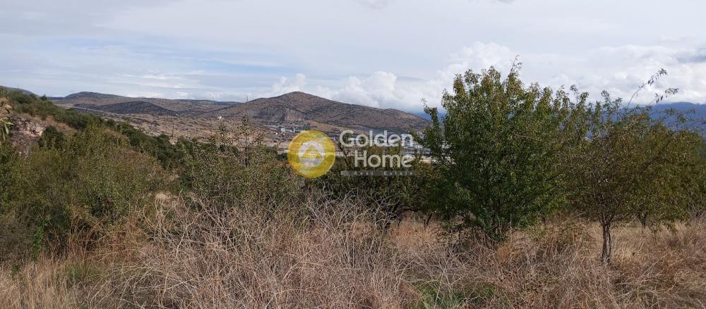 Οικόπεδο 5.853 τ.μ. πρός πώληση, Μαγνησία, Αισωνία