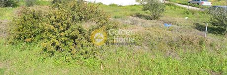 Land plot 301sqm for sale-Anthidonos » Profitis Ilias