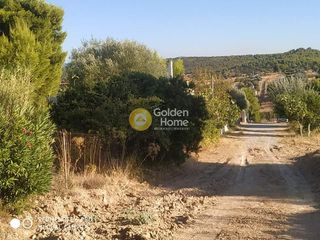 Οικόπεδο 500 τ.μ. για πώληση, Βοιωτία, Σχηματάρι-thumb-2