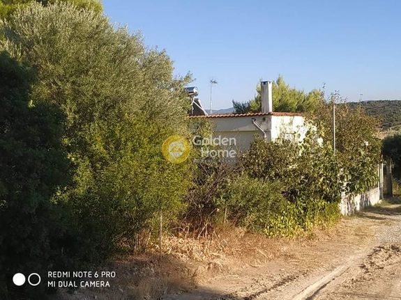 Οικόπεδο 500 τ.μ. για πώληση, Βοιωτία, Σχηματάρι