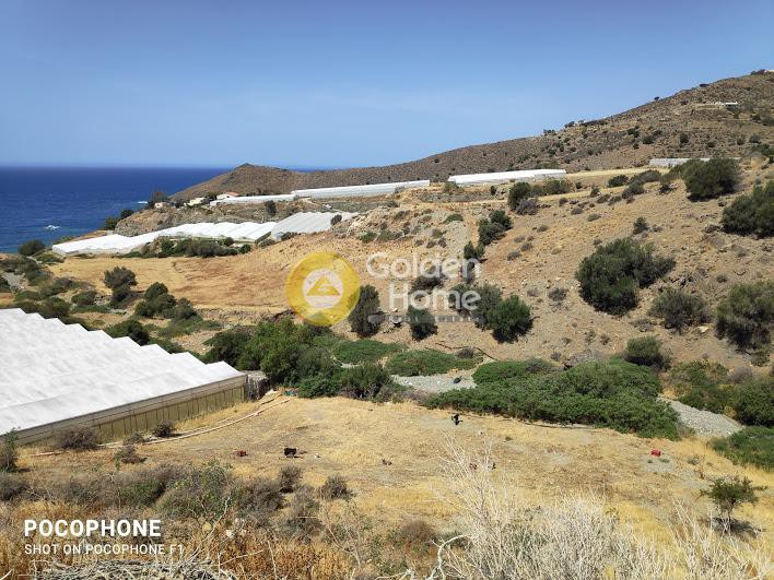 Αγροτεμάχια 7.000 τ.μ. προς πώληση, Γερόκαμπος