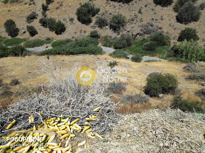Αγροτεμάχια 7.000 τ.μ. προς πώληση, Γερόκαμπος