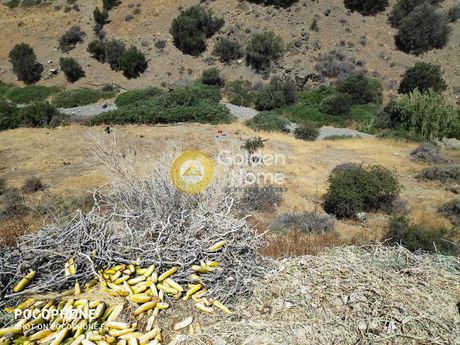 Parcel 7.000sqm for sale-Gortina » Gerokampos