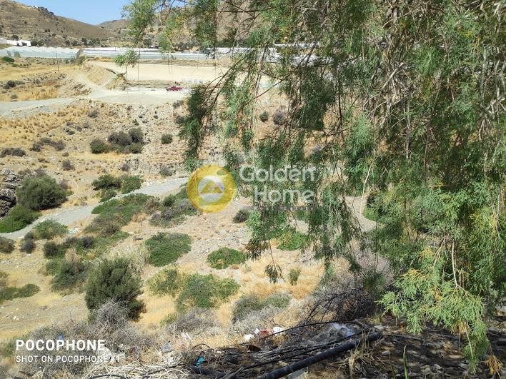 Αγροτεμάχια 7.000 τ.μ. προς πώληση, Γερόκαμπος