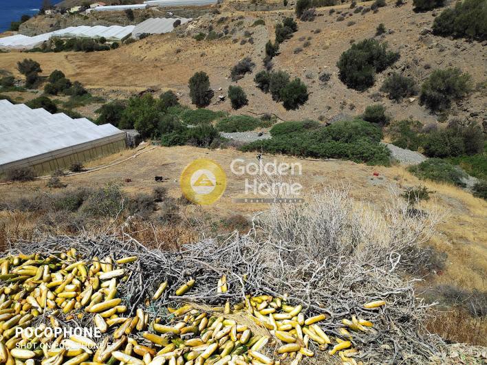 Αγροτεμάχια 7.000 τ.μ. προς πώληση, Γερόκαμπος