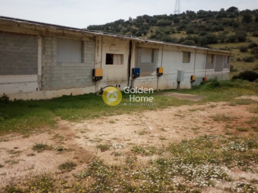 Αποθήκη 5.500 τ.μ. προς ενοικίαση, Κίτσι