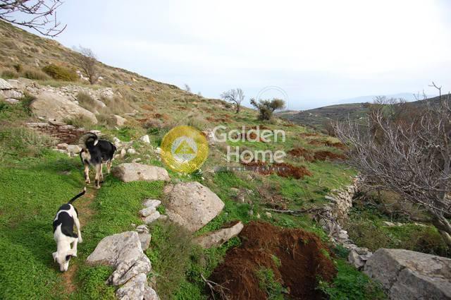 Οικόπεδο 60.000 τ.μ. προς πώληση, Κυκλάδες, Πάρος