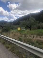 Αγροτεμάχια 2.050 τ.μ. για πώληση, Μεσσηνία, Αβία-thumb-2