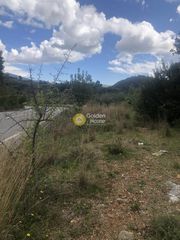 Αγροτεμάχια 2.050 τ.μ. για πώληση, Μεσσηνία, Αβία-thumb-10