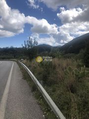 Αγροτεμάχια 2.050 τ.μ. για πώληση, Μεσσηνία, Αβία-thumb-4