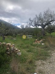 Αγροτεμάχια 2.050 τ.μ. για πώληση, Μεσσηνία, Αβία-thumb-12