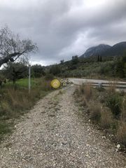 Αγροτεμάχια 2.050 τ.μ. για πώληση, Μεσσηνία, Αβία-thumb-13