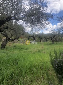 Parcel 2.050sqm for sale-Avia » Drosopigi