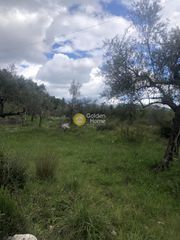 Αγροτεμάχια 2.050 τ.μ. για πώληση, Μεσσηνία, Αβία-thumb-22