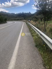 Αγροτεμάχια 2.050 τ.μ. για πώληση, Μεσσηνία, Αβία-thumb-5