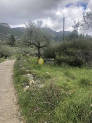Αγροτεμάχια 2.050 τ.μ. για πώληση, Μεσσηνία, Αβία-thumb-17