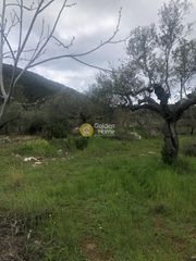 Αγροτεμάχια 2.050 τ.μ. για πώληση, Μεσσηνία, Αβία-thumb-14